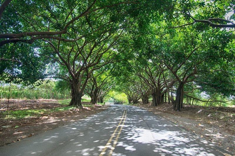 Kauai Beach Villas Lihue Ngoại thất bức ảnh